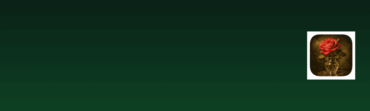 Bloomly banner